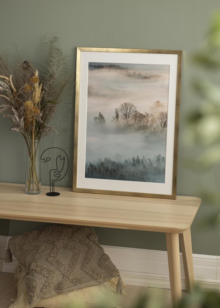 Raam stiilne Akruulklaas kuldne 50x70 cm