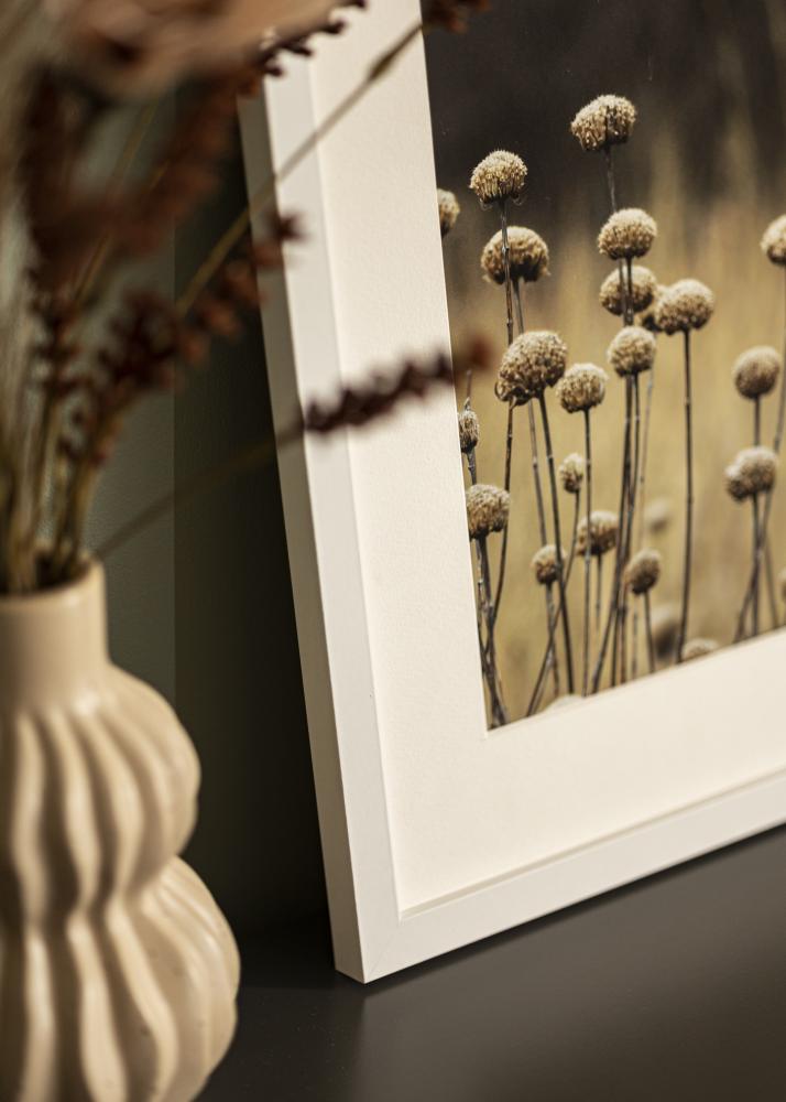 Raam Selection Akrüülklaas Valge 60x70 cm