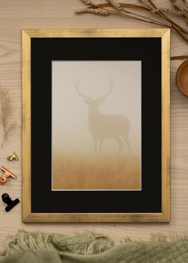 Raam stiilne kuldne 40x50 cm - paspartuu muster 27,5x37 cm