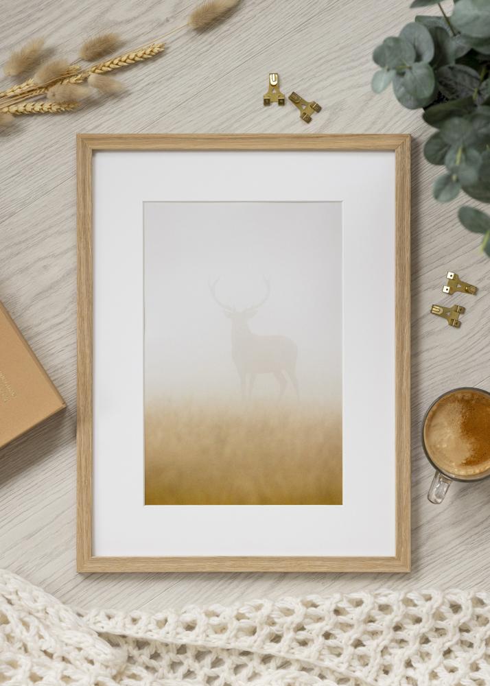 Raam Vemdalen Akrüülklaas Tamm 40x81 cm