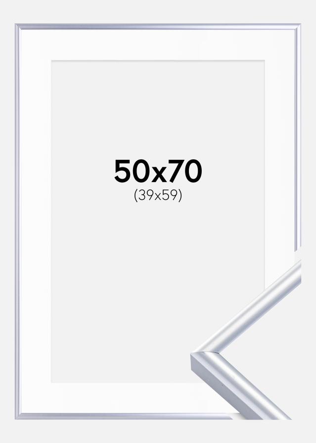 Raam Victoria hobedane 50x70 cm - paspartuu valge 40x60 cm