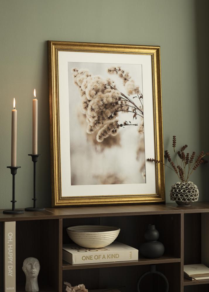 Raam rokokoo Akruulklaas kuldne 40x60 cm