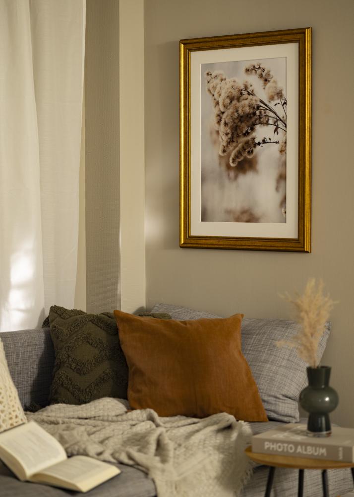 Raam rokokoo Akruulklaas kuldne 40x60 cm