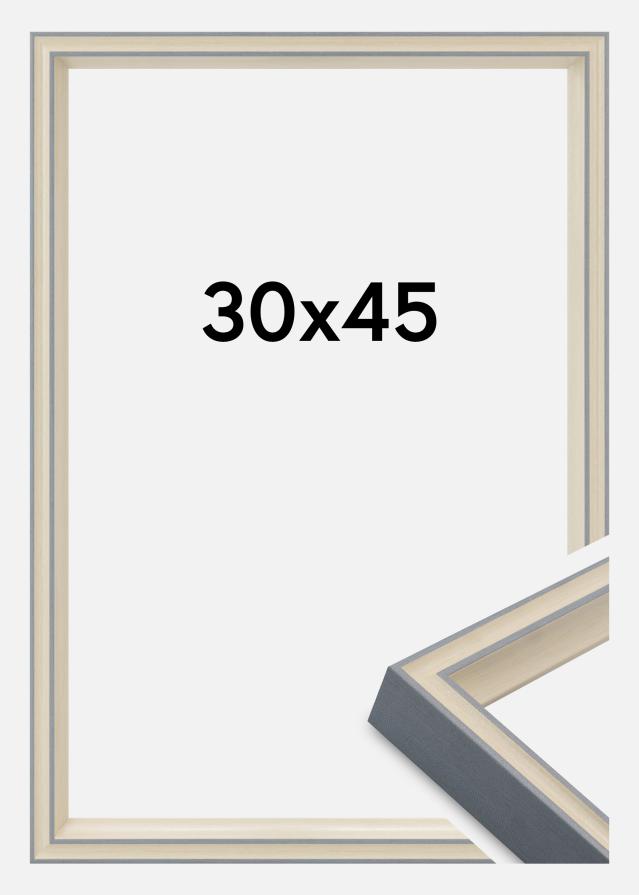 Raam Riga Akrüülklaas Hall 30x45 cm