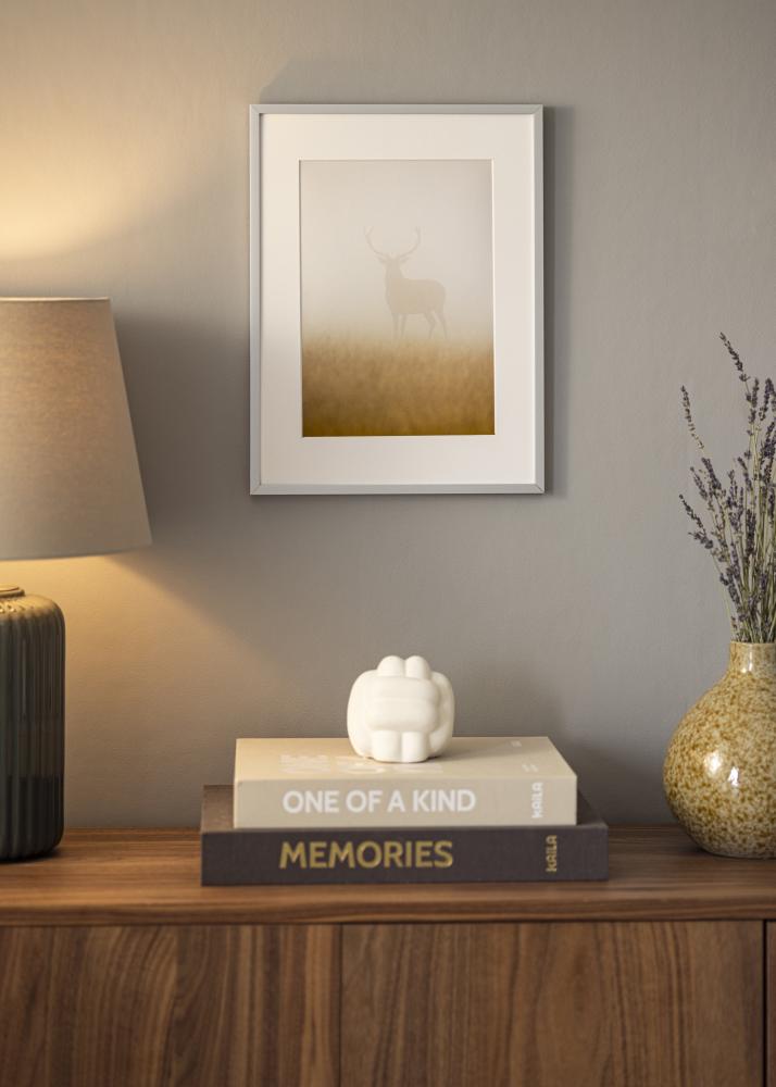 Peegel Helsingfors hobedane - Enda valitud moodud