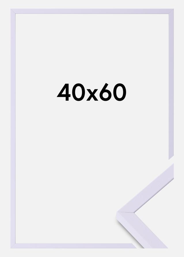 Colorful Akruulklaas lilla 40x60 cm