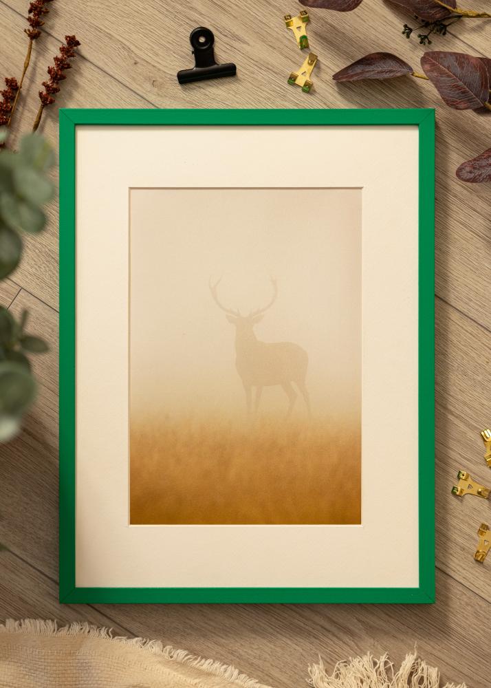 Colorful Akruulklaas roheline 40x60 cm