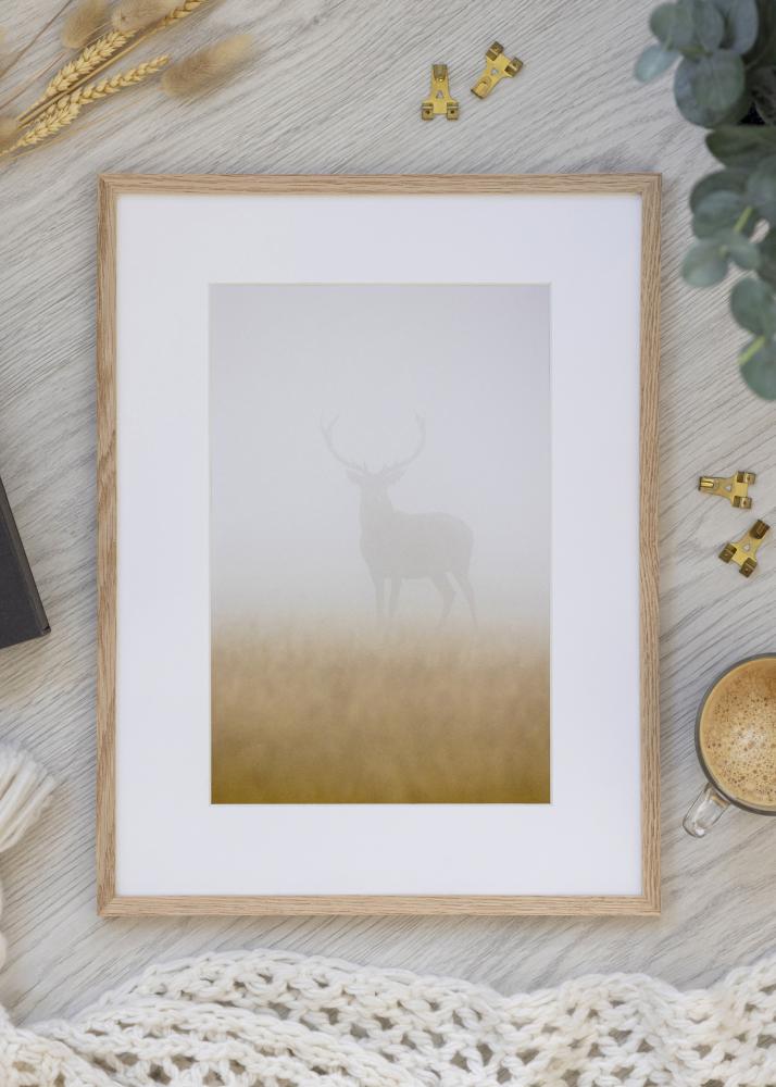 Raam kitsas tamm Akruulklaas 35x50 cm