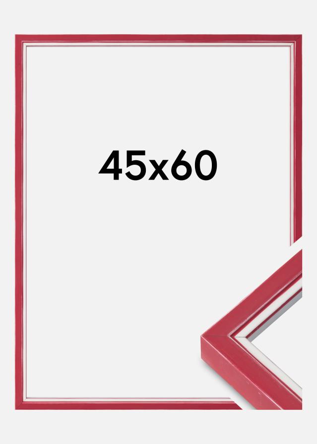 Raam Diana Akruulklaas punane 45x60 cm