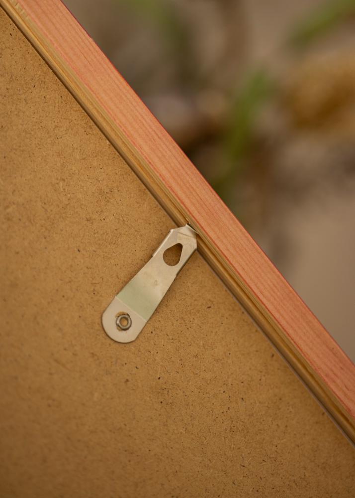 Raam Diana Akruulklaas punane 45x60 cm