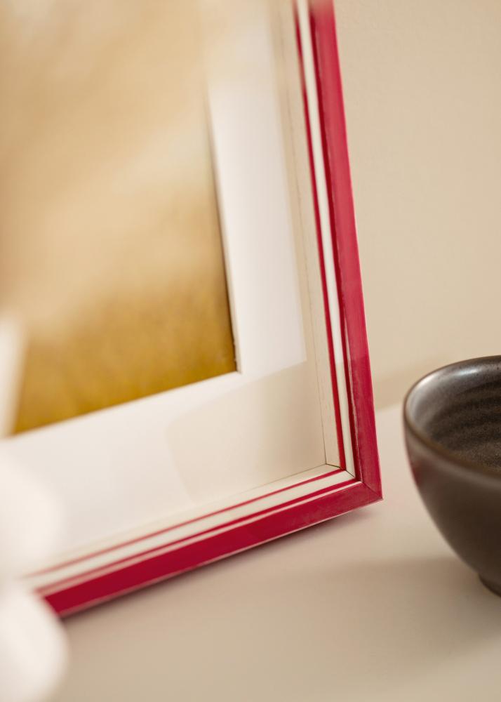 Raam Diana Akruulklaas punane 45x60 cm