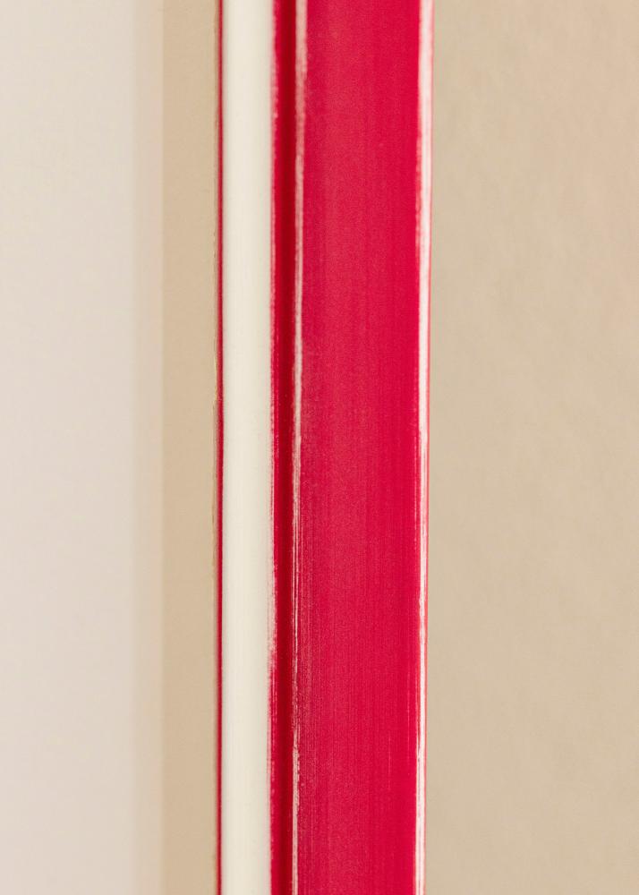 Raam Diana Akruulklaas punane 45x60 cm