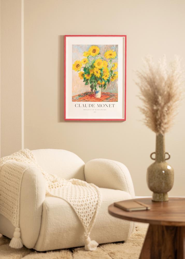 Raam Diana Akruulklaas punane 45x60 cm