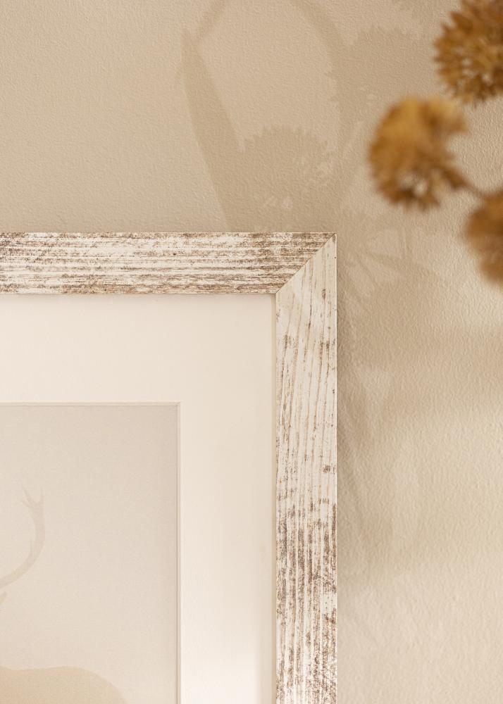 Raam suureparane AA 15x20 cm