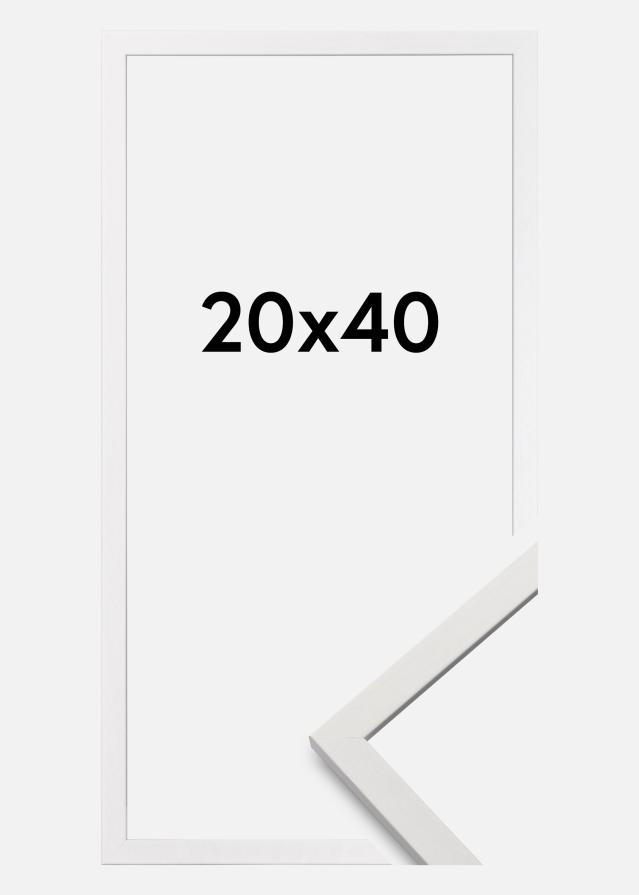 Raam Edsbyn valge 20x40 cm
