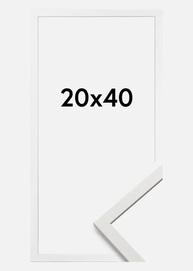 Raam Edsbyn valge 20x40 cm