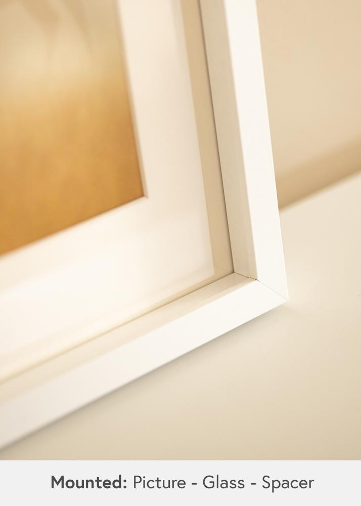 BGA pildiraam Akruulklaas valge 50x70 cm