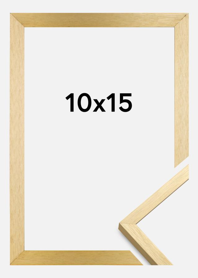 Raam Chair kuldne 10x15 cm