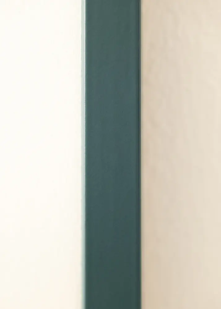 Raam NordicLine Calypso 21x29,7 cm (A4)