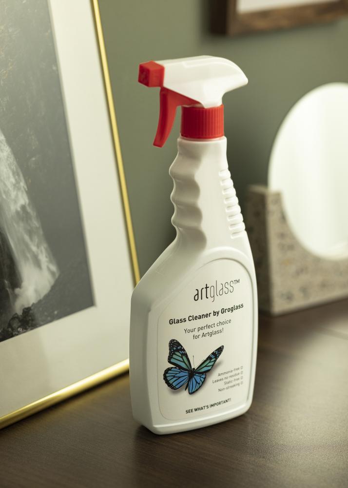 Klaasipuhastusvahend Groglass - 0,1 liiter