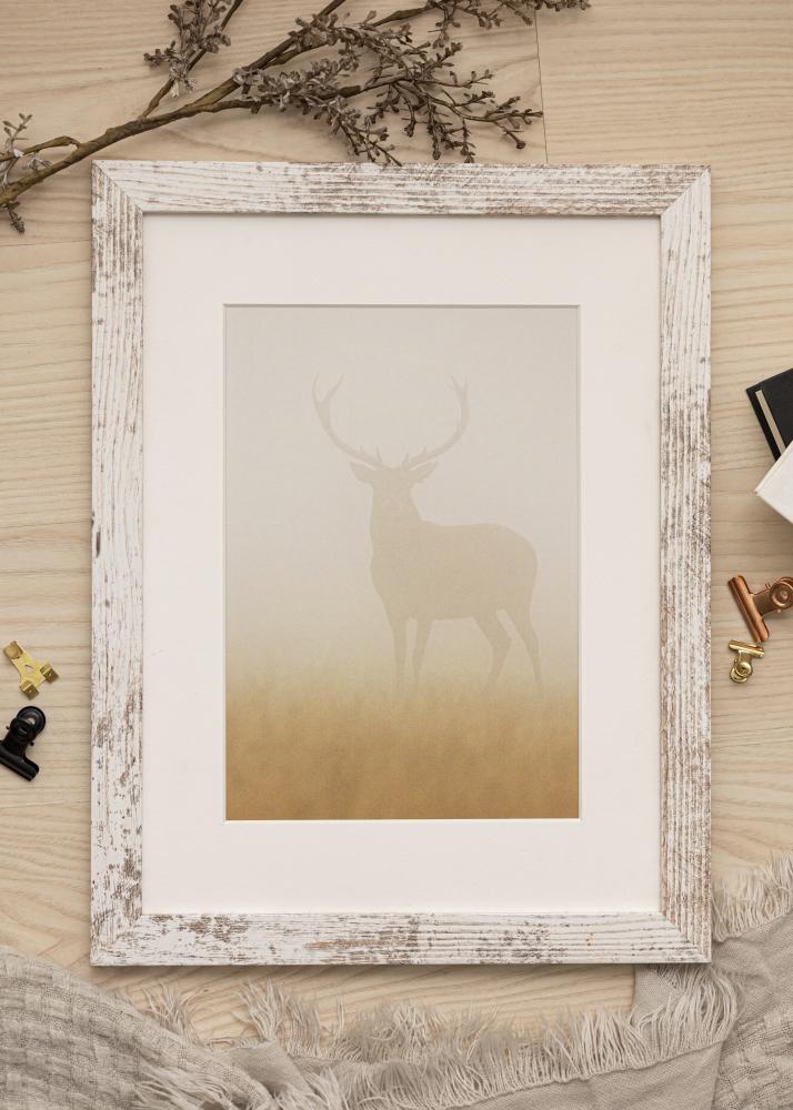 Raam suureparane AA 15x20 cm