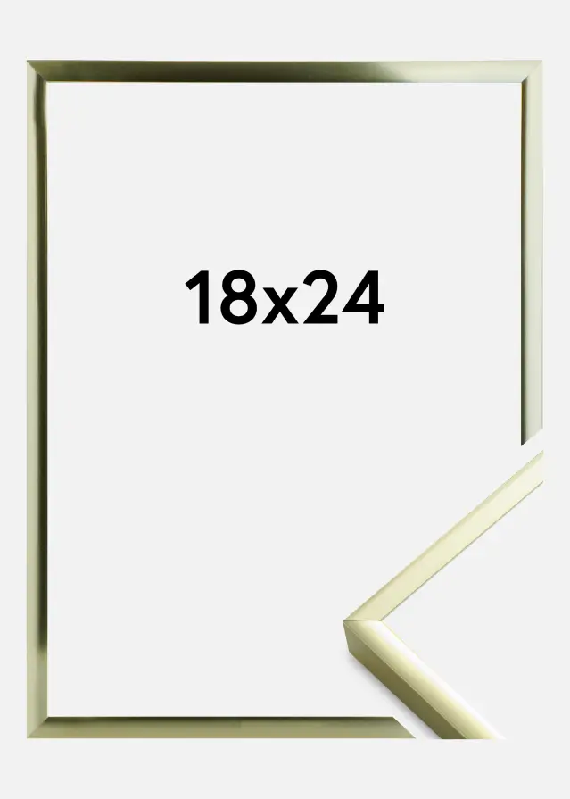 Raam Plakat Frame Aluminum Gold 18x24 cm