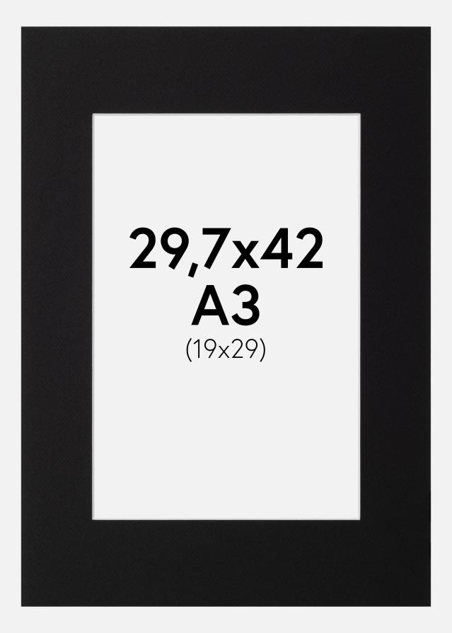 Paspartuu Canson muster Valge äär 29,7x42 cm (19x29)