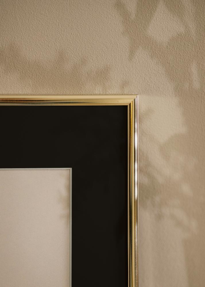 Raam alumiinium tuhm kuldne 70x100 cm - paspartuu muster 62x85 cm