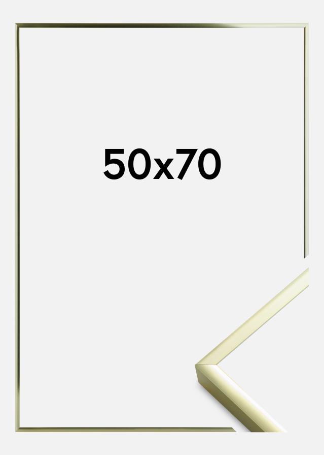 Raam Plakat Frame Aluminum Gold 50x70 cm