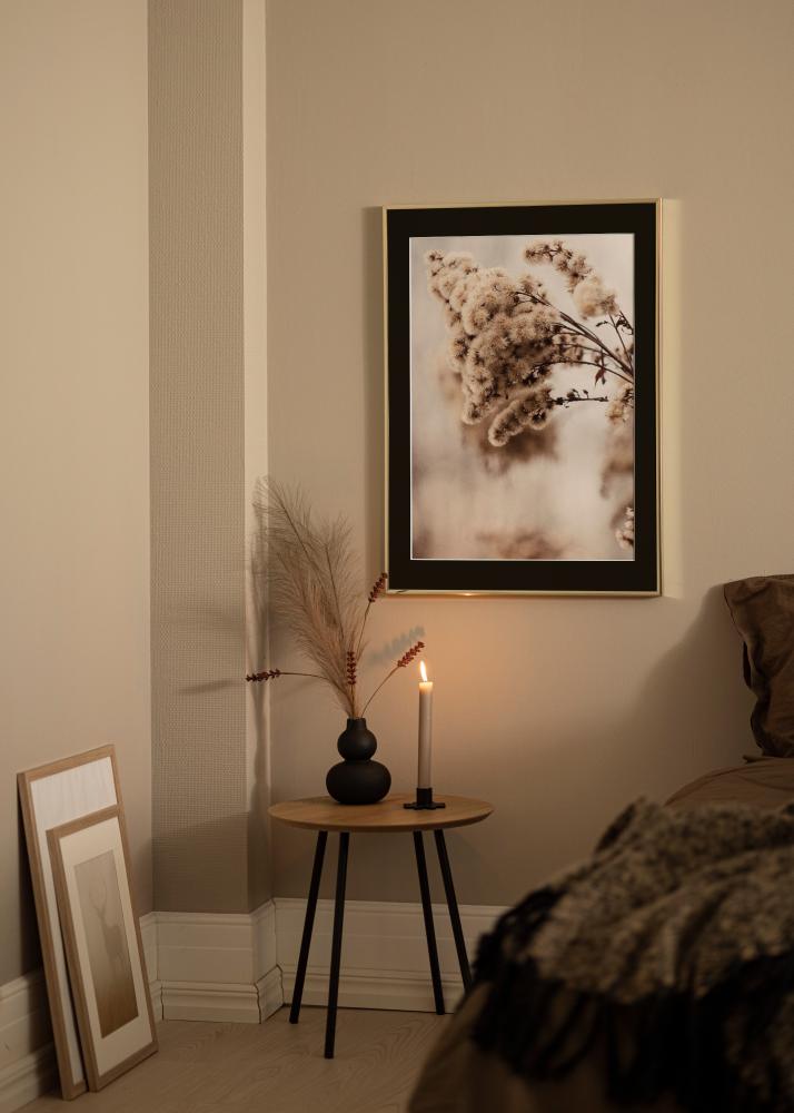 Raam alumiinium tuhm kuldne 70x100 cm - paspartuu muster 62x85 cm