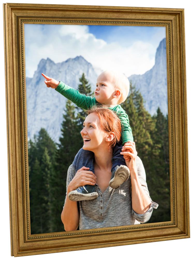 Raam Haga kuldne - Vabalt valitav suurus