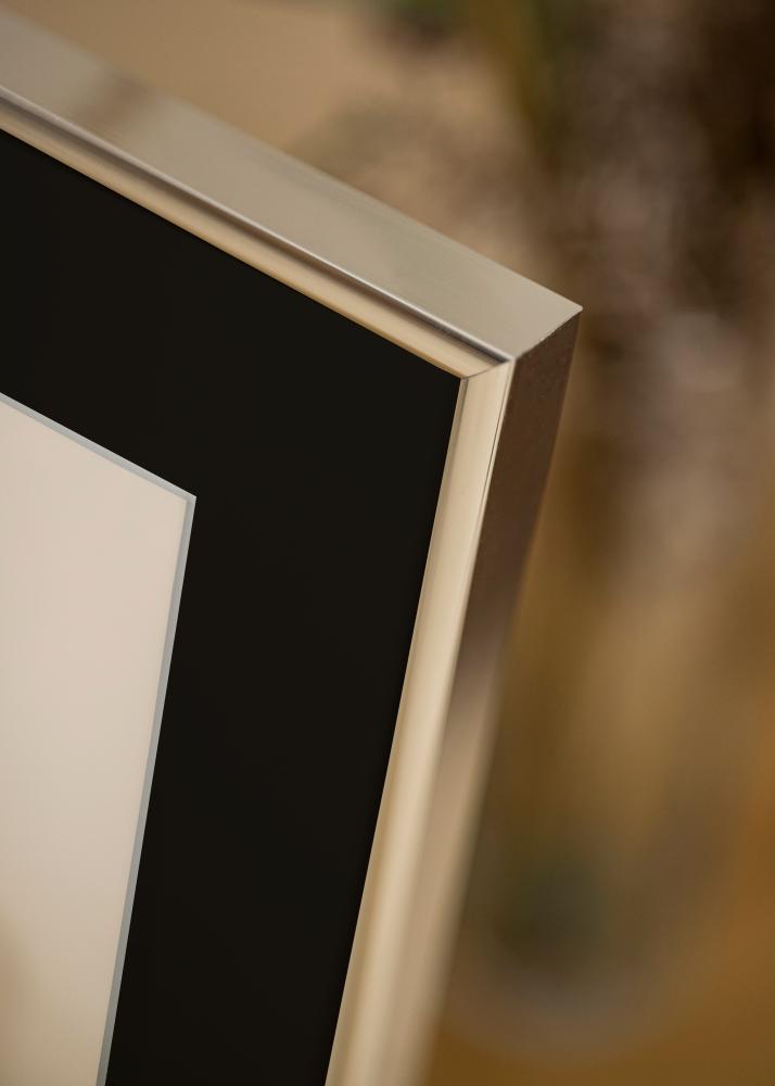 Raam alumiinium tuhm hobedane 70x100 cm - paspartuu muster 59,4x84 cm (A1)