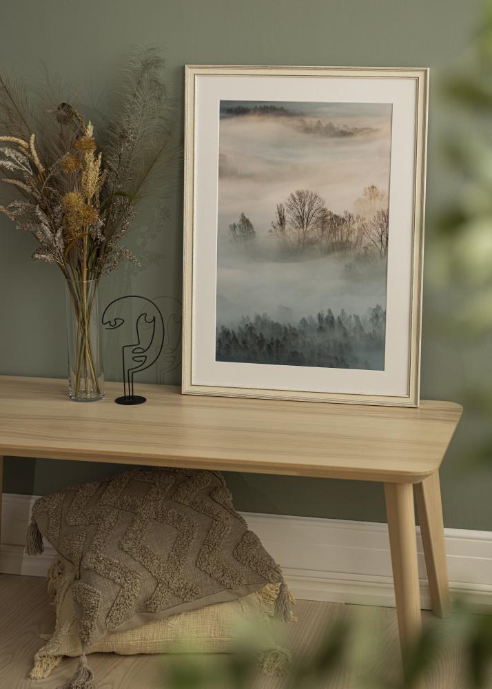 Raam Shabby Chic Akruulklaas valge 40x50 cm