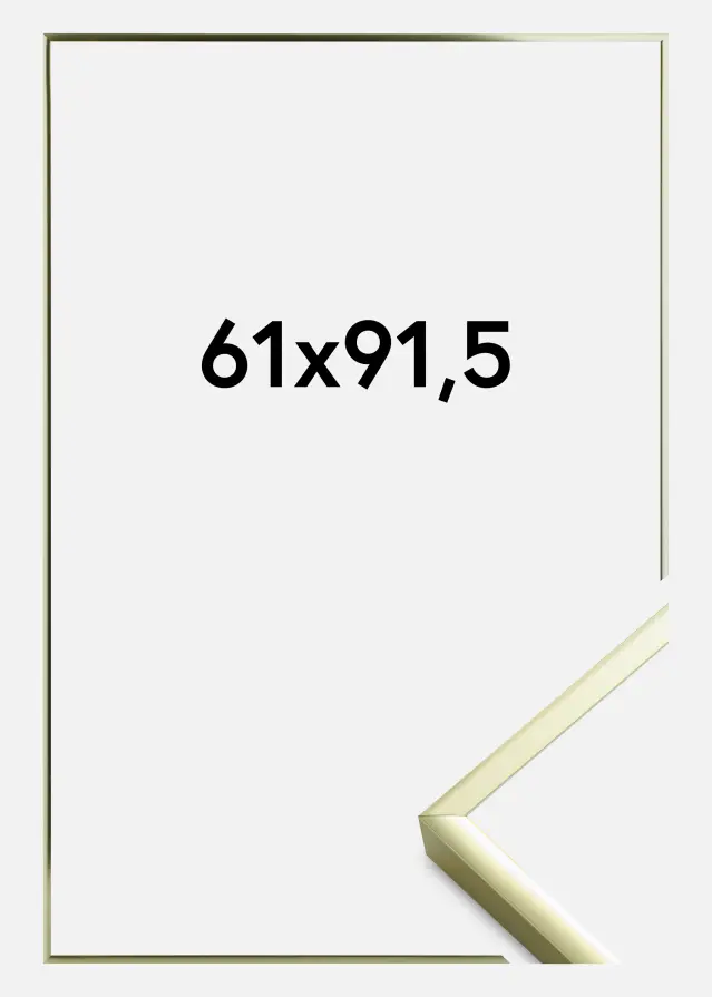 Raam Plakat Frame Aluminum Akruulklaas Gold 61x91,5 cm