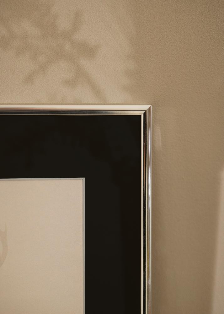 Raam alumiinium tuhm hobedane 70x100 cm - paspartuu muster 59,4x84 cm (A1)