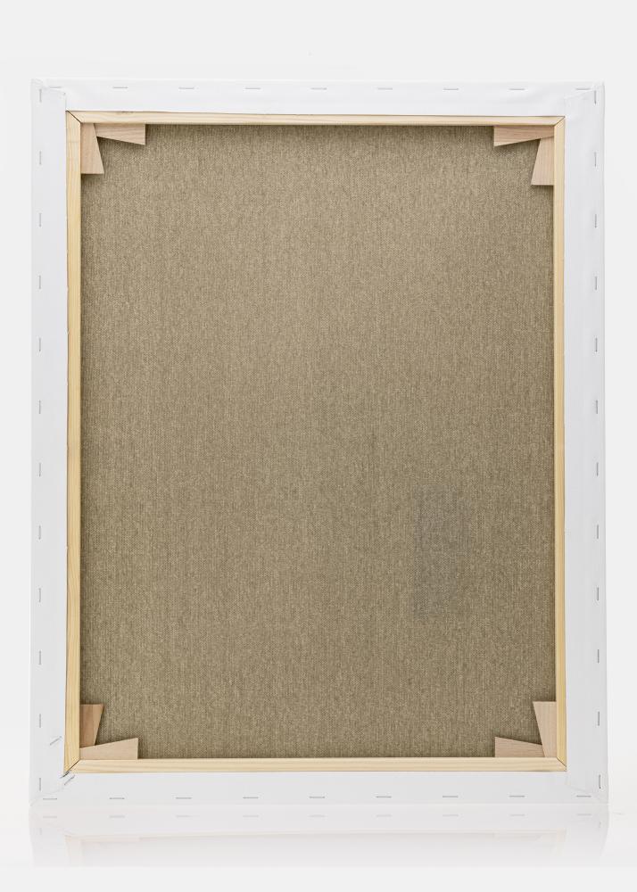 Louend preemium valge 40x50 cm