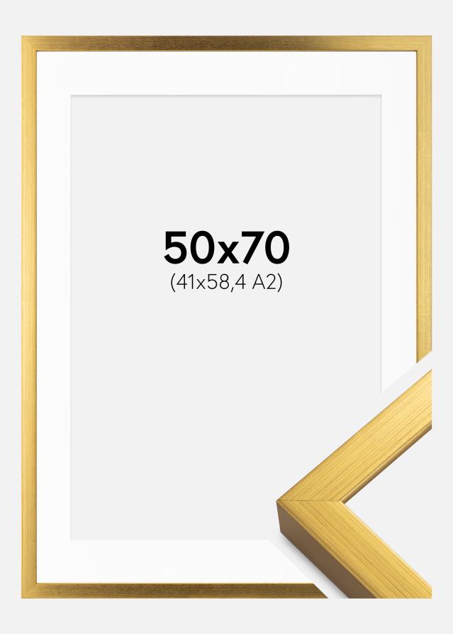 Raam Falun kuldne 50x70 cm - paspartuu valge 42x59,4 cm (A2)
