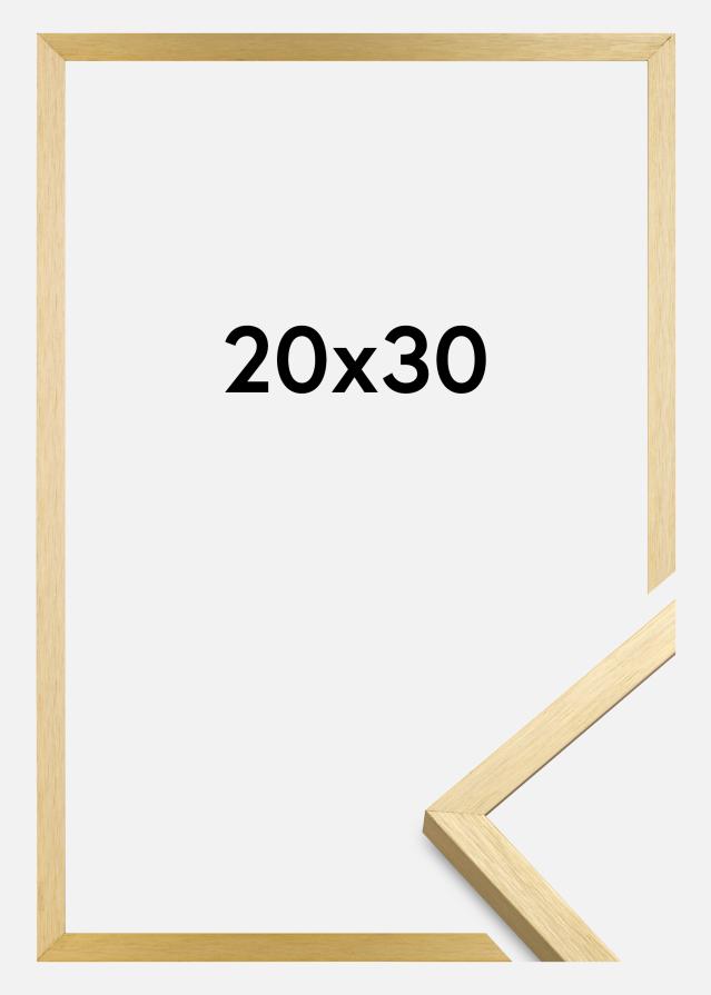 Raam Chair kuldne 20x30 cm