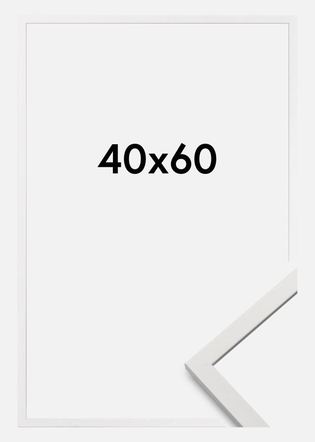 Raam Edsbyn valge 40x60 cm