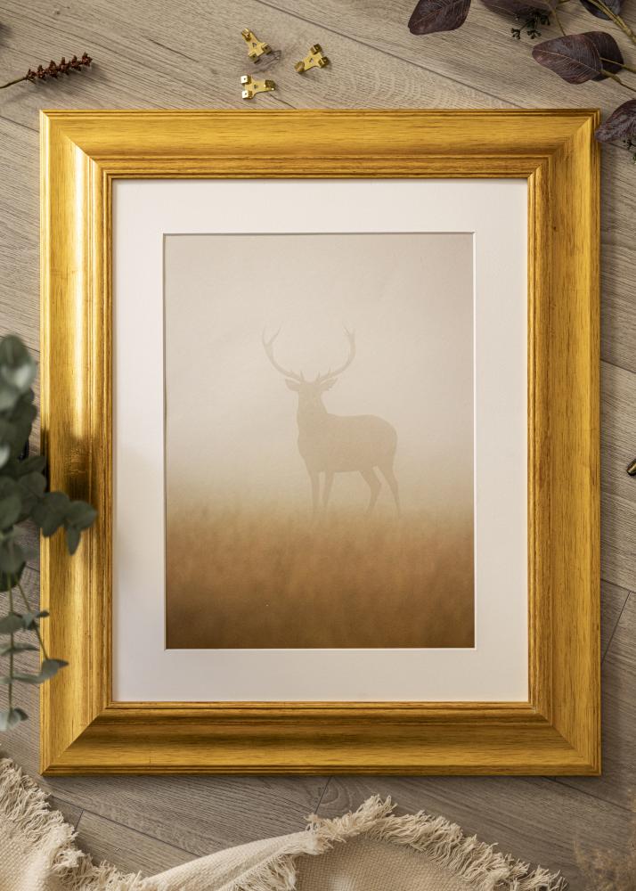 Raam Belfast hele kuldne - Vabalt valitav suurus