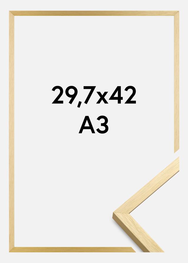 Raam Chair kuldne 29,7x42 cm (A3)