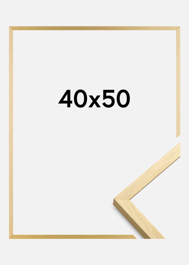 Raam Chair kuldne 40x50 cm