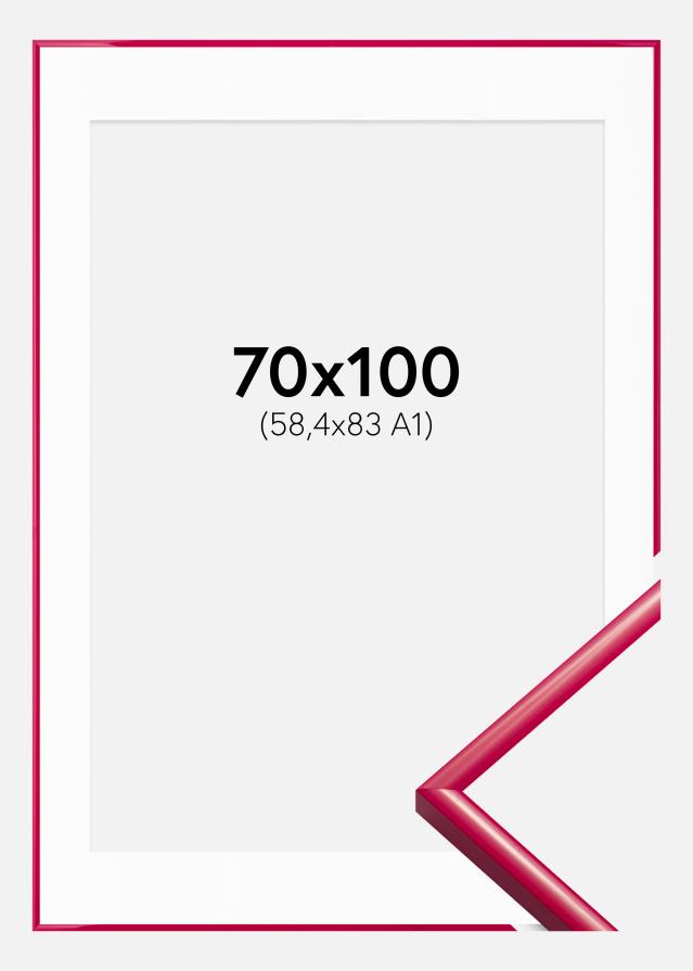 Raam New Lifestyle Rose 70x100 cm - paspartuu valge 59,4x84 cm (A1)