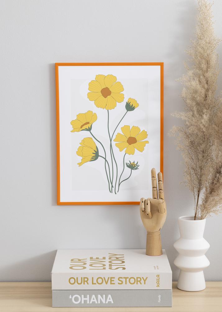 Raam New Lifestyle heleoranz 30x40 cm - paspartuu muster 18x27 cm