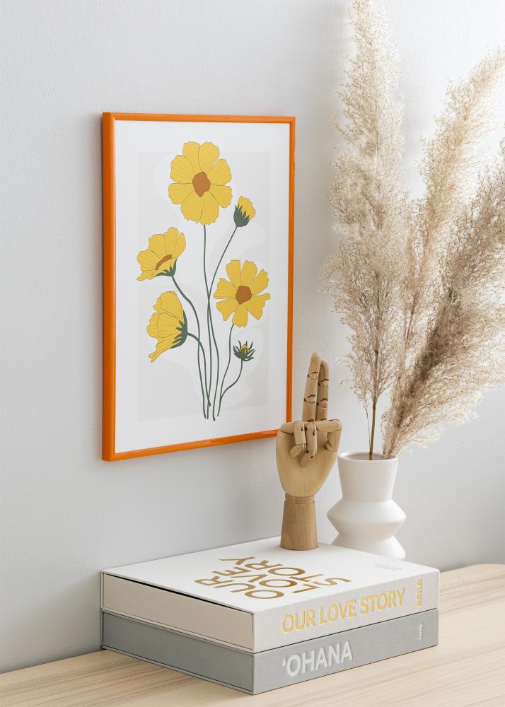 Raam New Lifestyle heleoranz 30x40 cm - paspartuu muster 18x27 cm