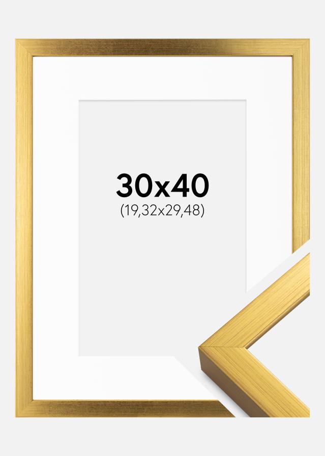 Raam Falun kuldne 30x40 cm - paspartuu valge 8x12 inches