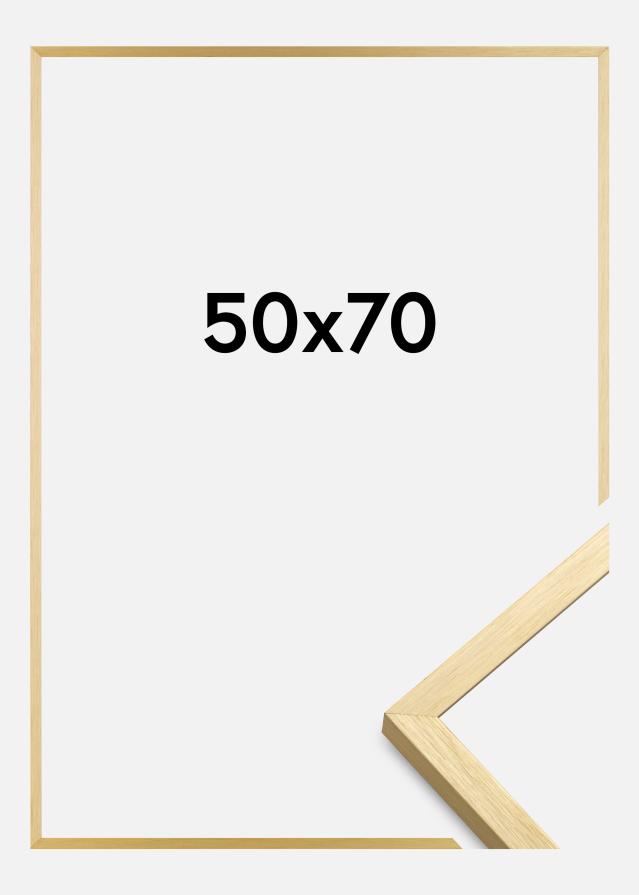 Raam Chair kuldne 50x70 cm