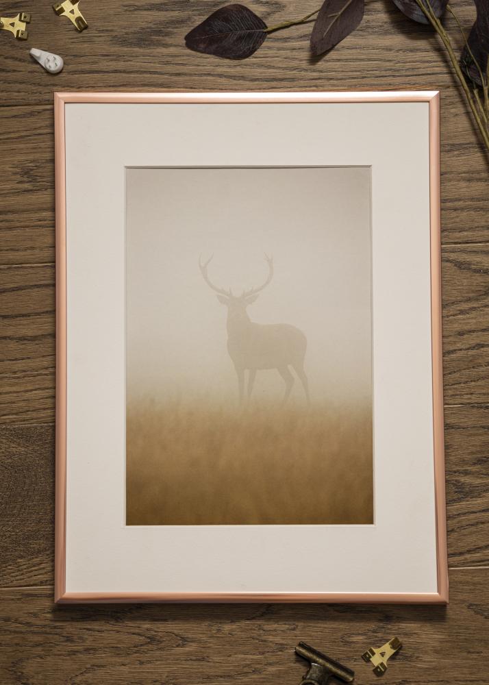 Raam Plakat Frame Aluminum roosakas kuldne 30x40 cm