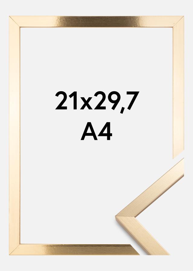 Raam Trendy kuldne 21x29,7 cm (A4)
