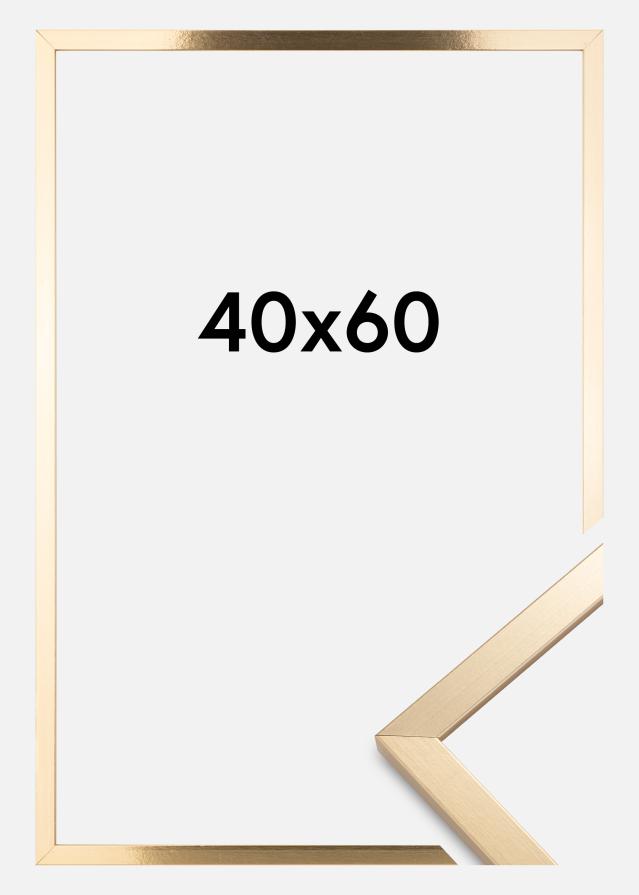 Raam Trendy kuldne 40x60 cm